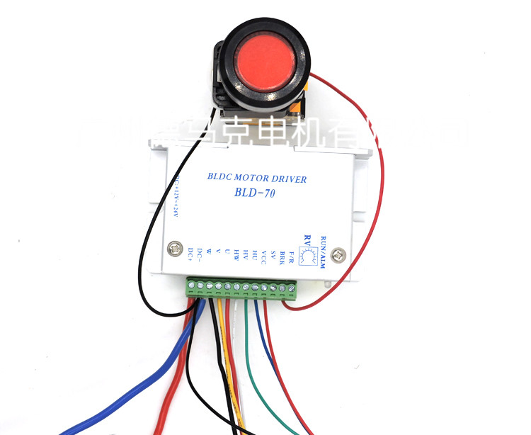 δ(bio)}-1_02.jpg